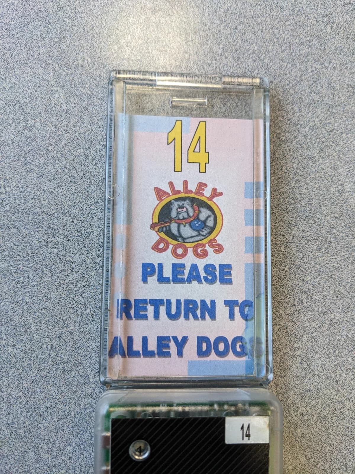 Alley Dogs photo 10