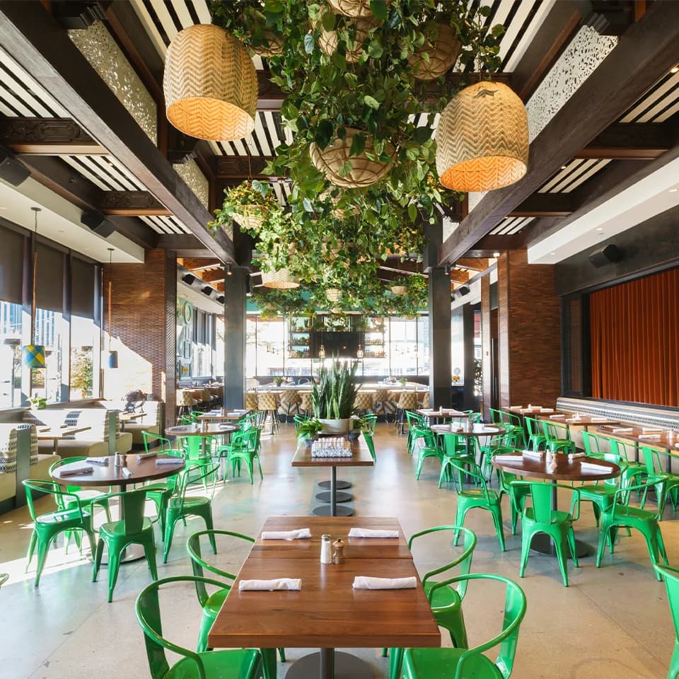 Blanco Cocina + Cantina photo 2
