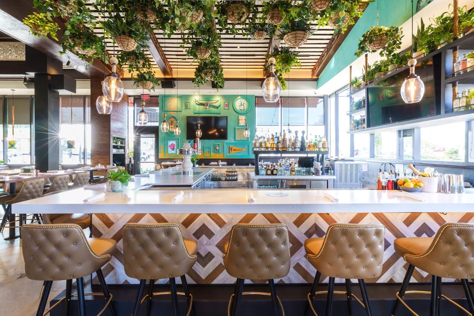 Blanco Cocina + Cantina photo 1