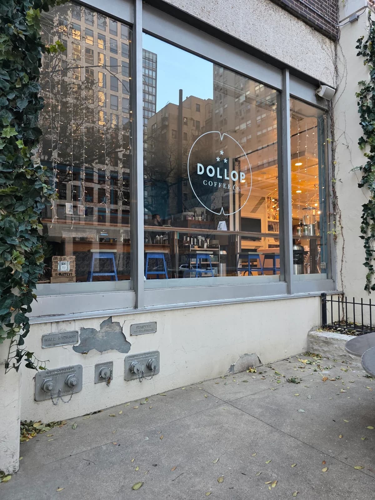 Dollop Coffee Co. photo 5