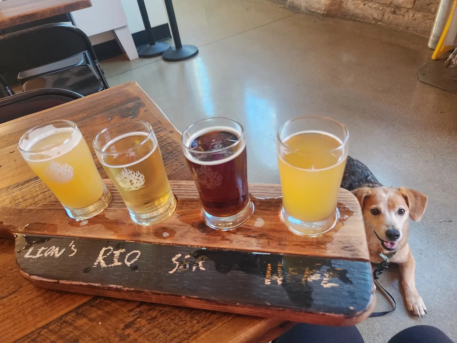 Burning Bush Brewery photo 7