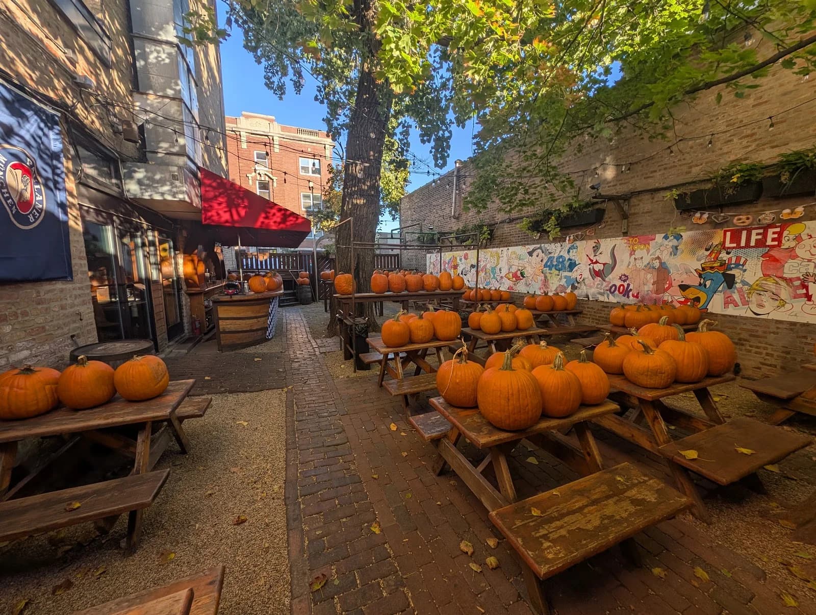 Sheffield's Wine & Beer Garden photo 4