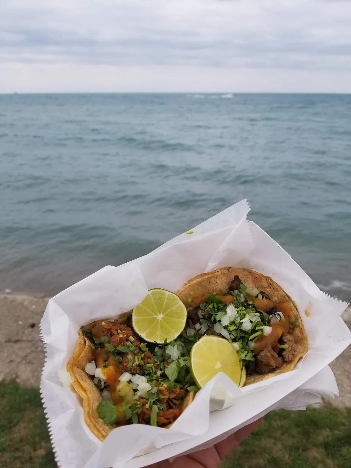 Del Campo Tacos photo 9