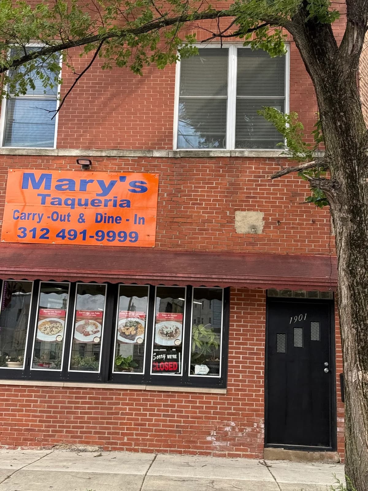 Mary's Taqueria photo 3