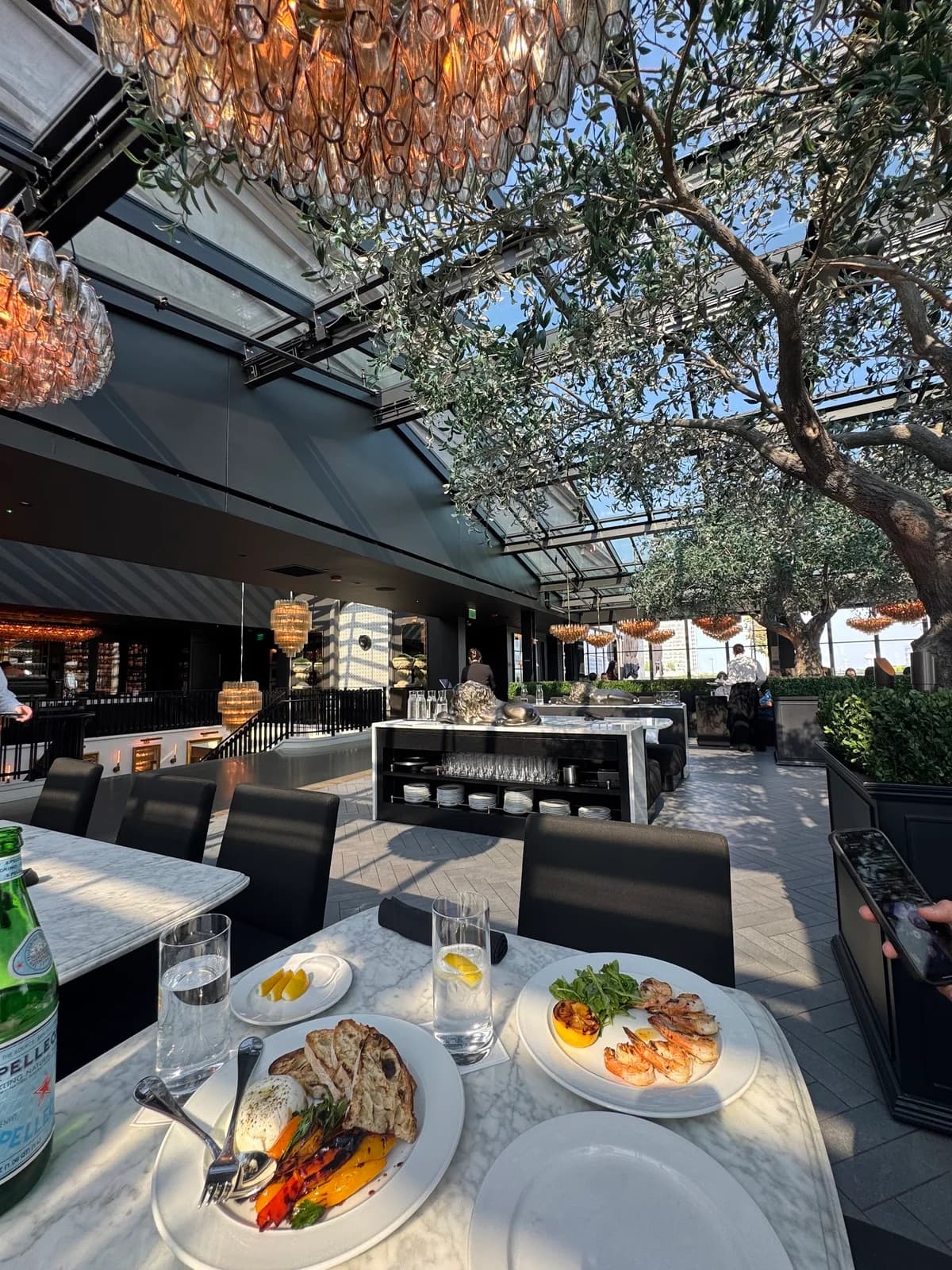 RH Rooftop Restaurant at RH Oak Brook photo 6