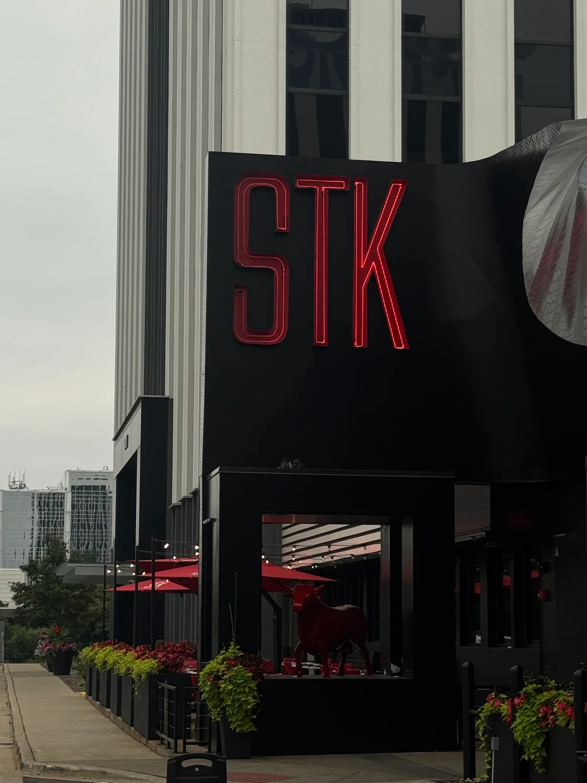 STK Steakhouse photo 1