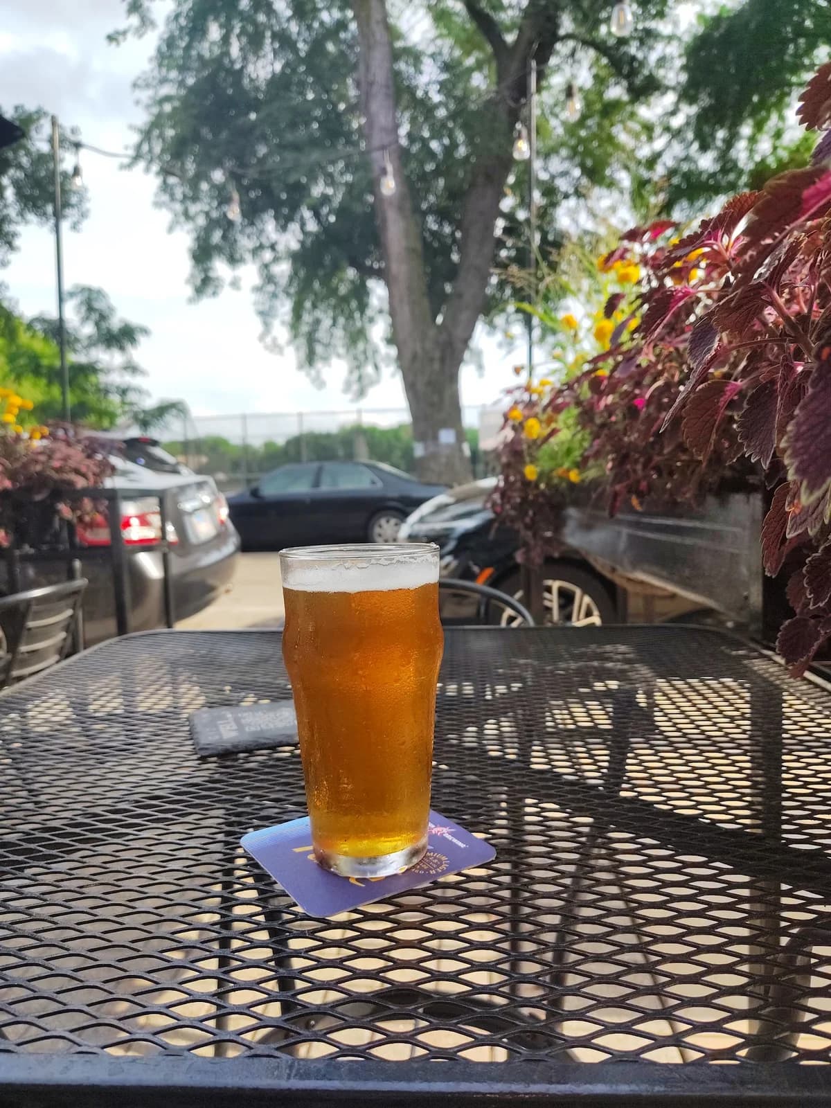 Gideon Welles Craft Beer Bar & Kitchen photo 8