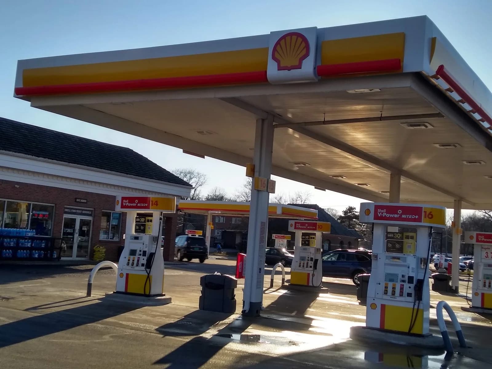 Shell photo 7
