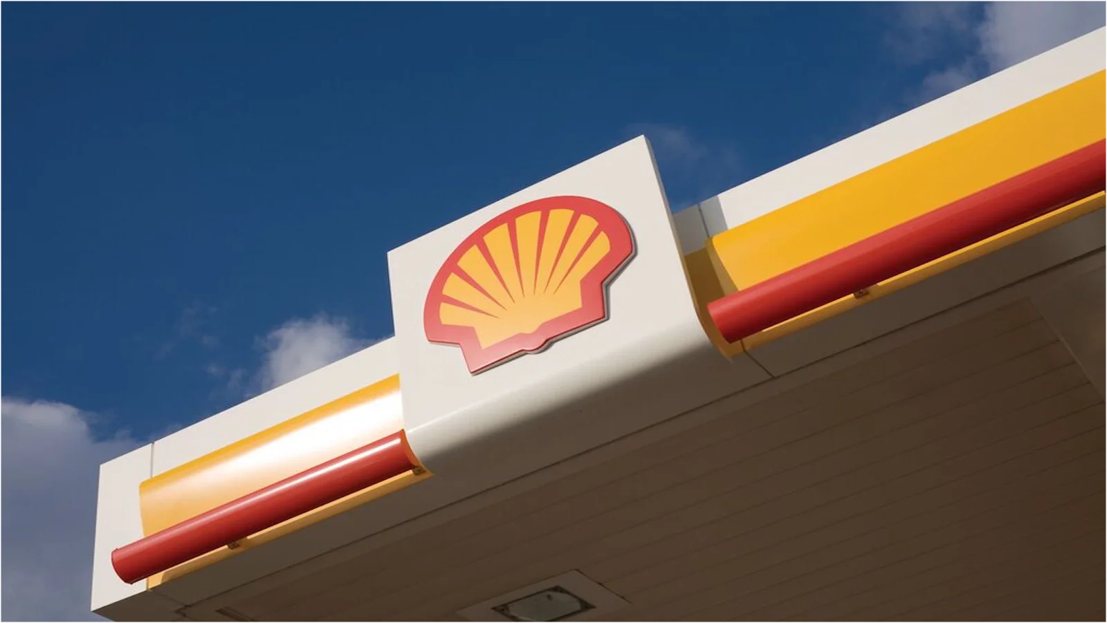 Shell photo 4