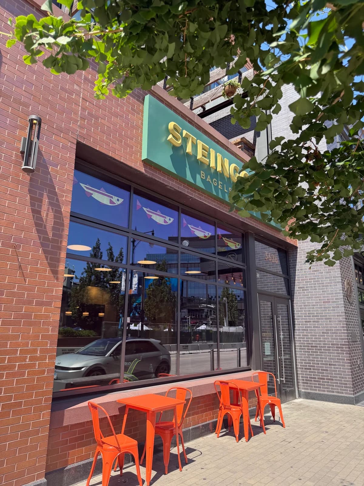 Steingold’s Bagels & Nosh photo 5