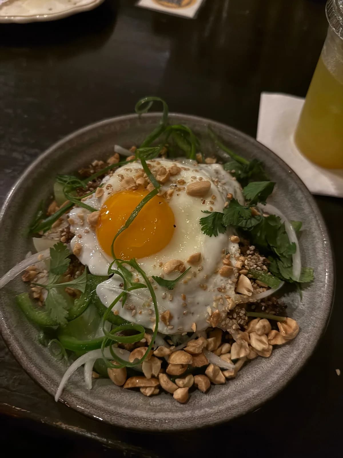 NoodleBird photo 8