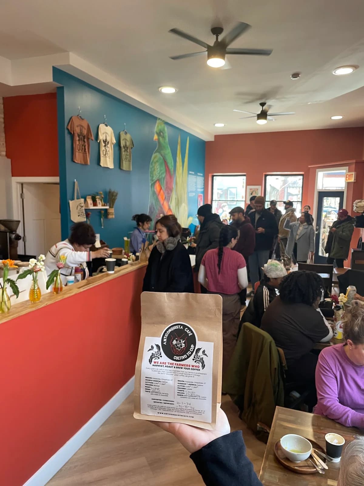 Anticonquista Café (West Town Roastery NOT shop) photo 1
