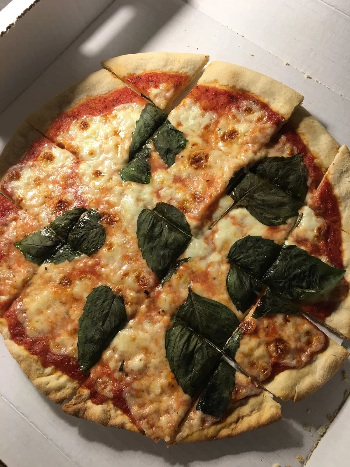 DiLeo's Pizzeria photo 10