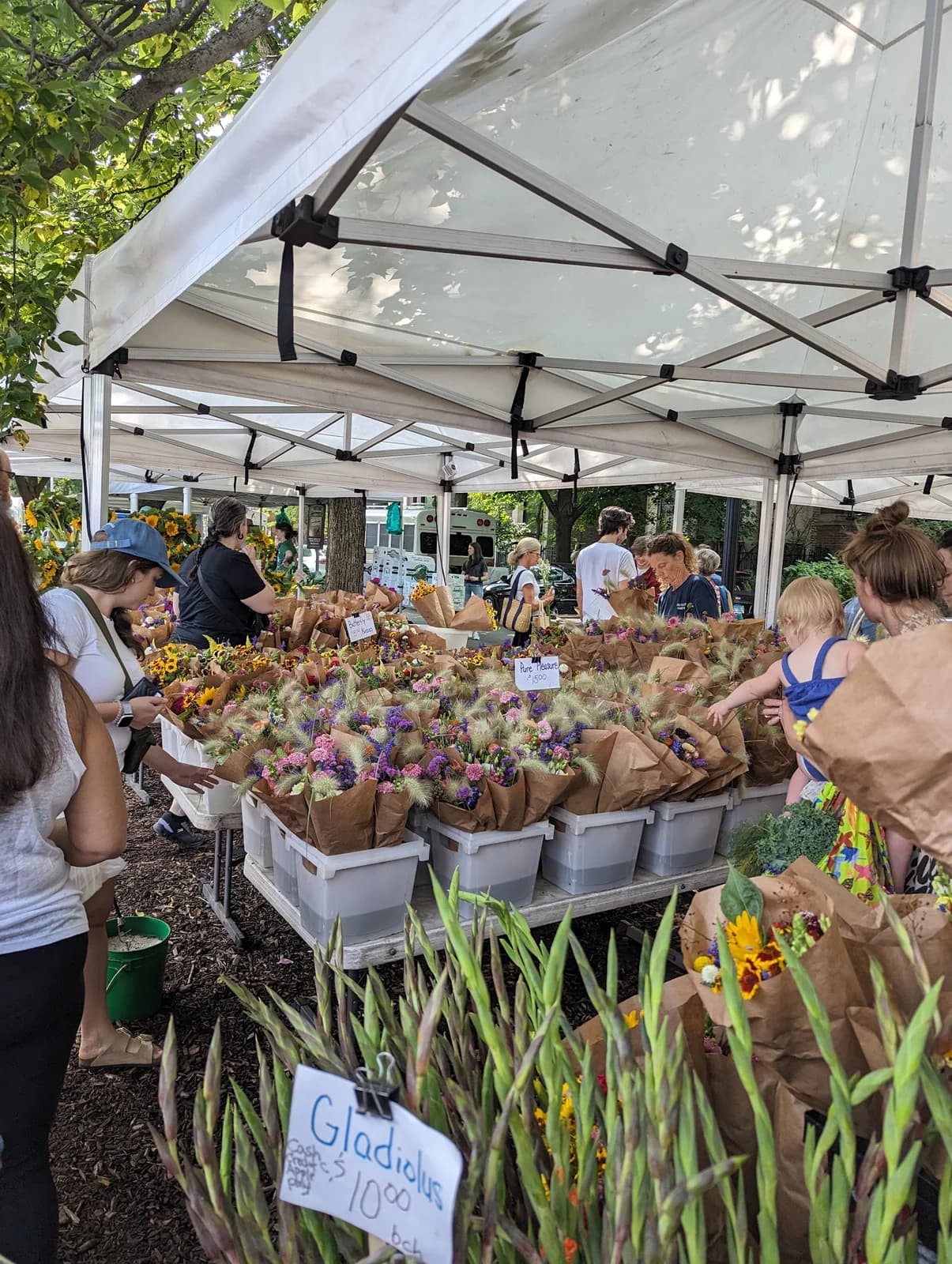 Logan Square Farmers Market photo 3