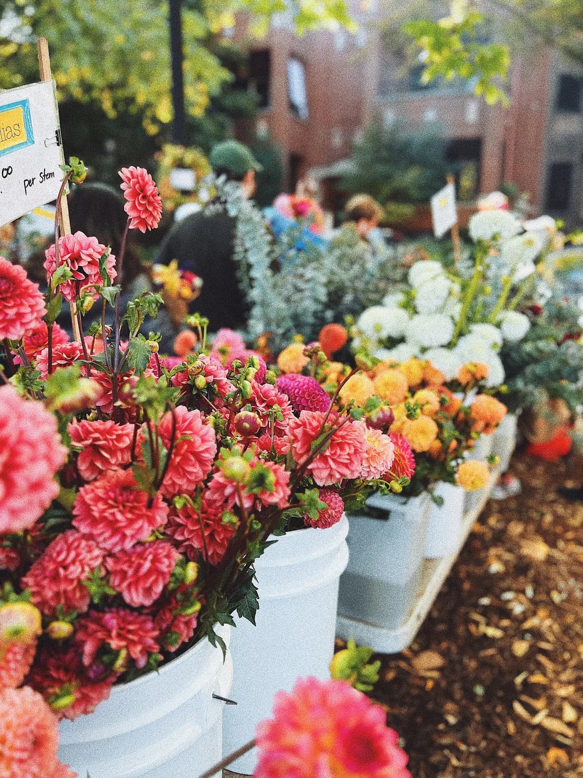 Logan Square Farmers Market photo 1