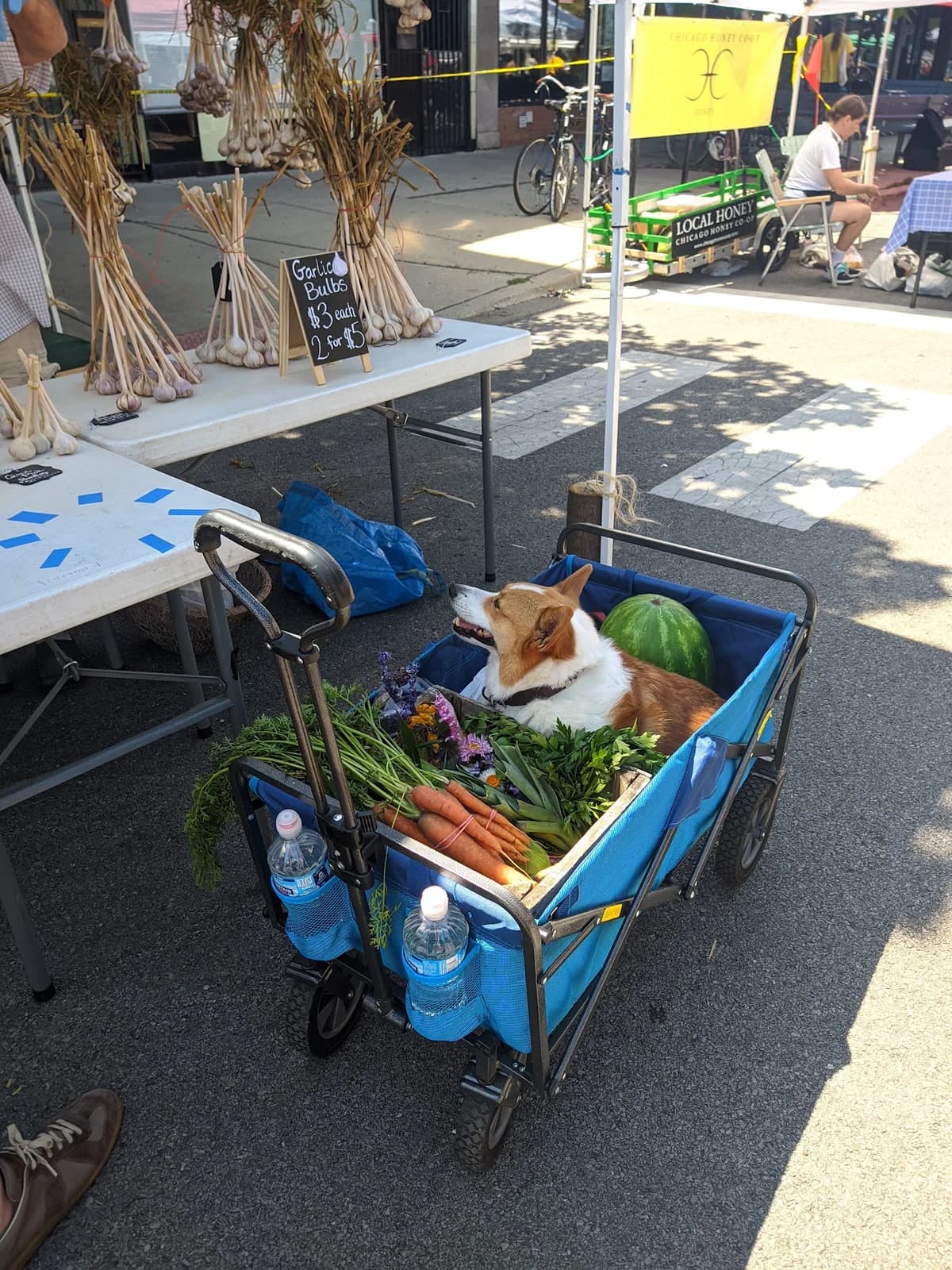 Logan Square Farmers Market photo 10