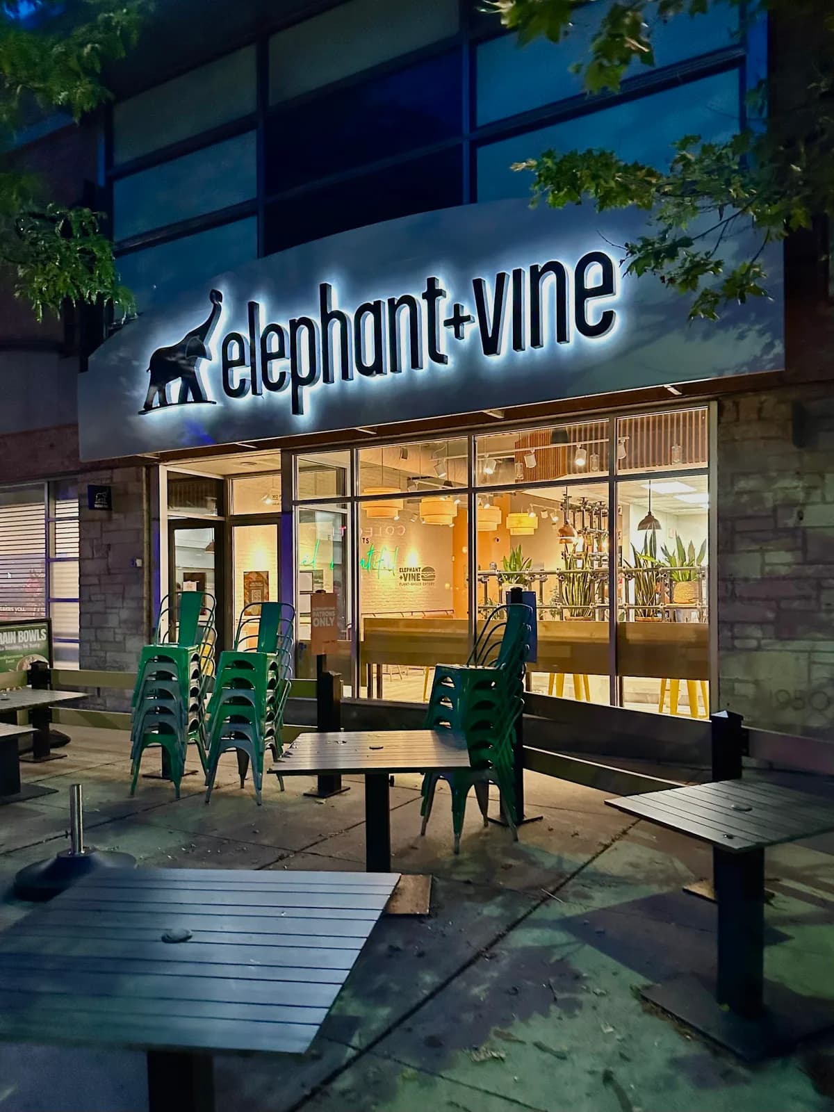 elephant + vine photo 3