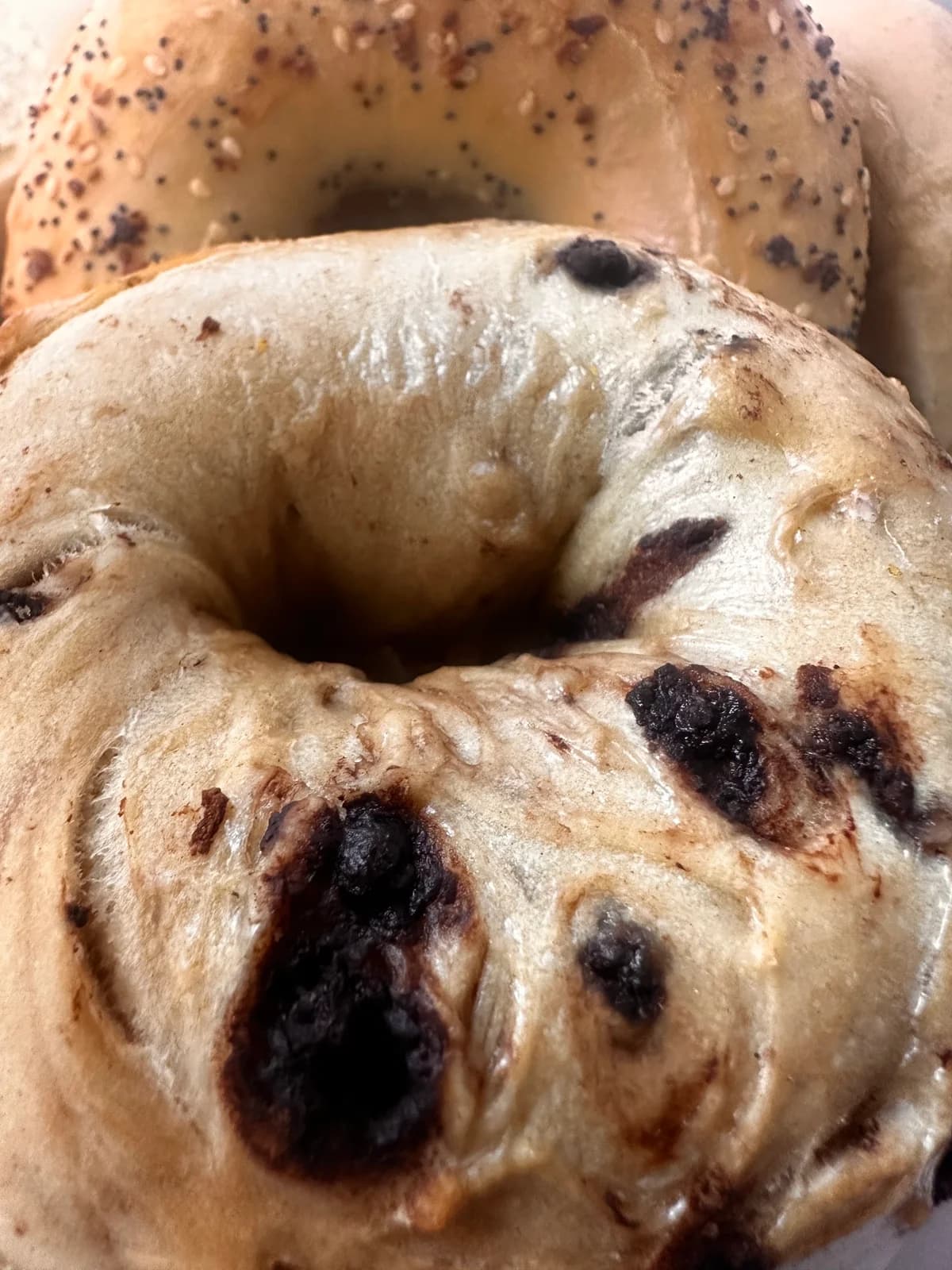 The Great American Bagel photo 7