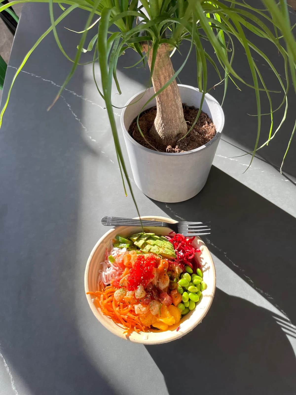 Poke Poké photo 5
