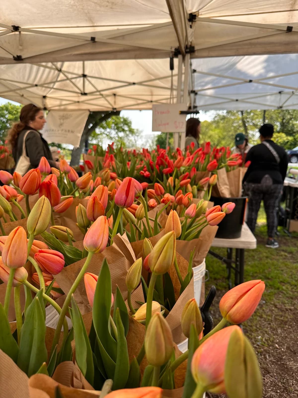Green City Market Lincoln Park photo 4