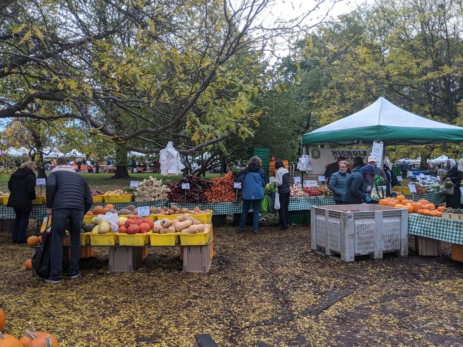 Green City Market Lincoln Park photo 3