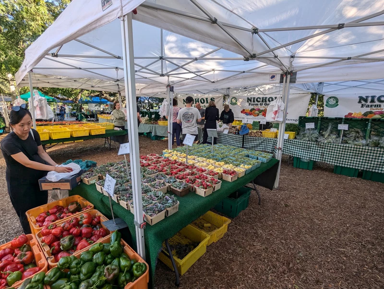 Green City Market Lincoln Park photo 2
