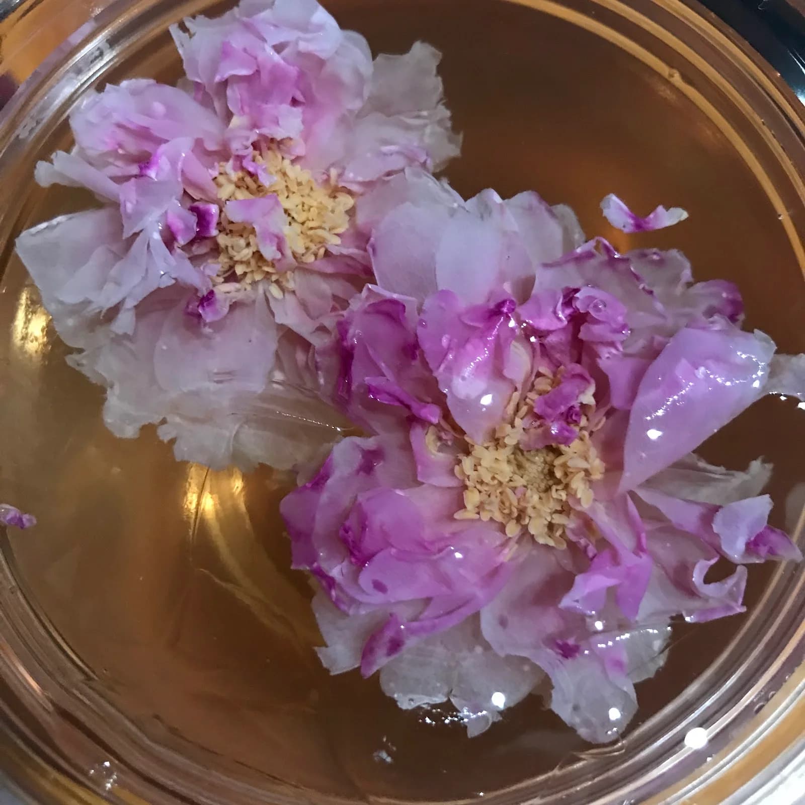 Kimura Sushi photo 9