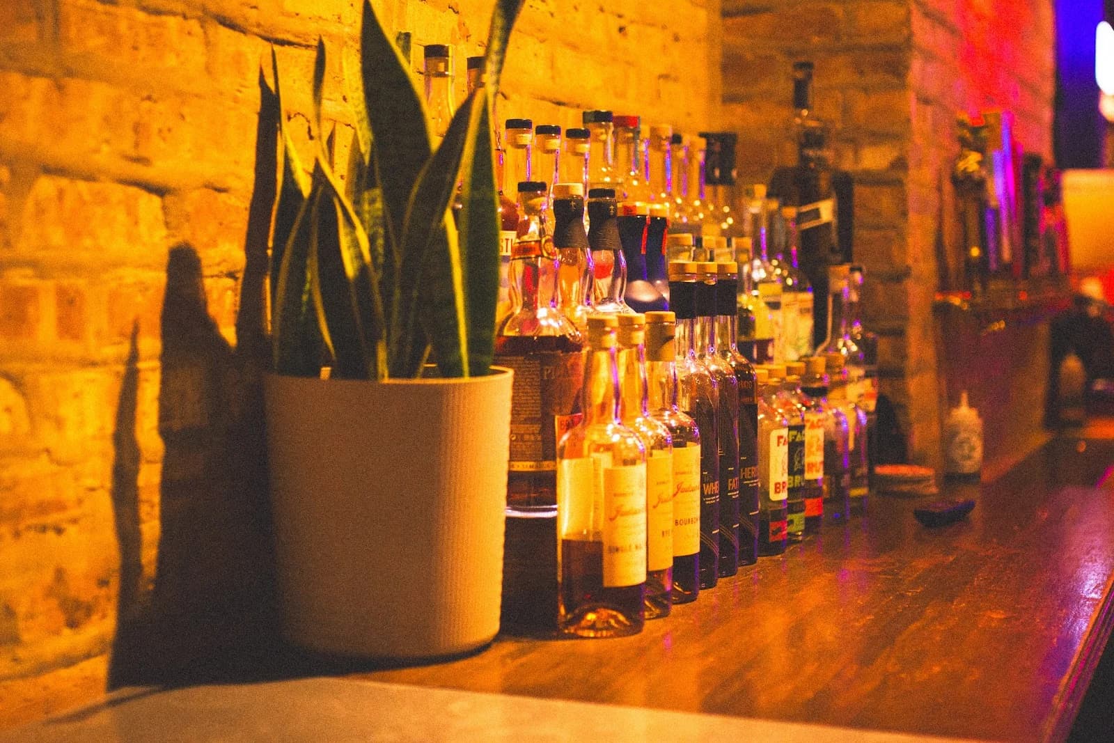 Kite String Cantina photo 6