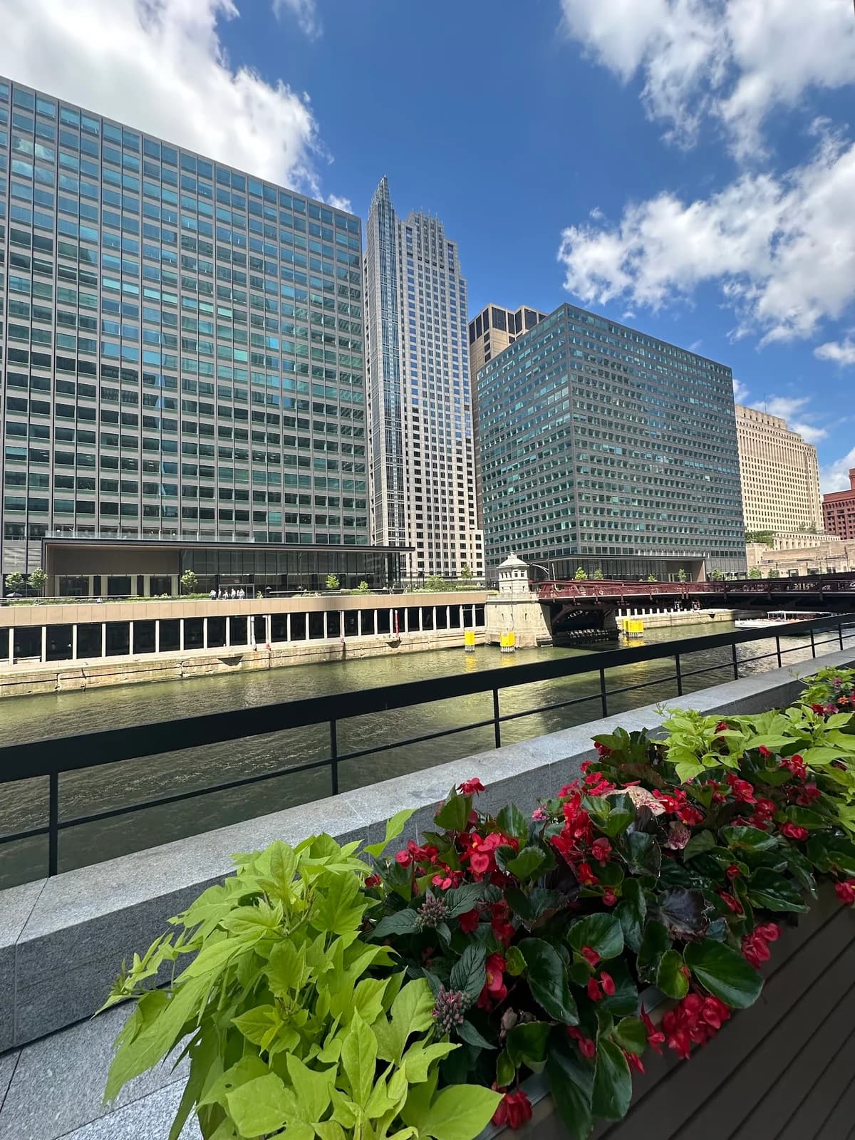 South Branch Tavern & Grille (The Loop - Chicago) photo 3