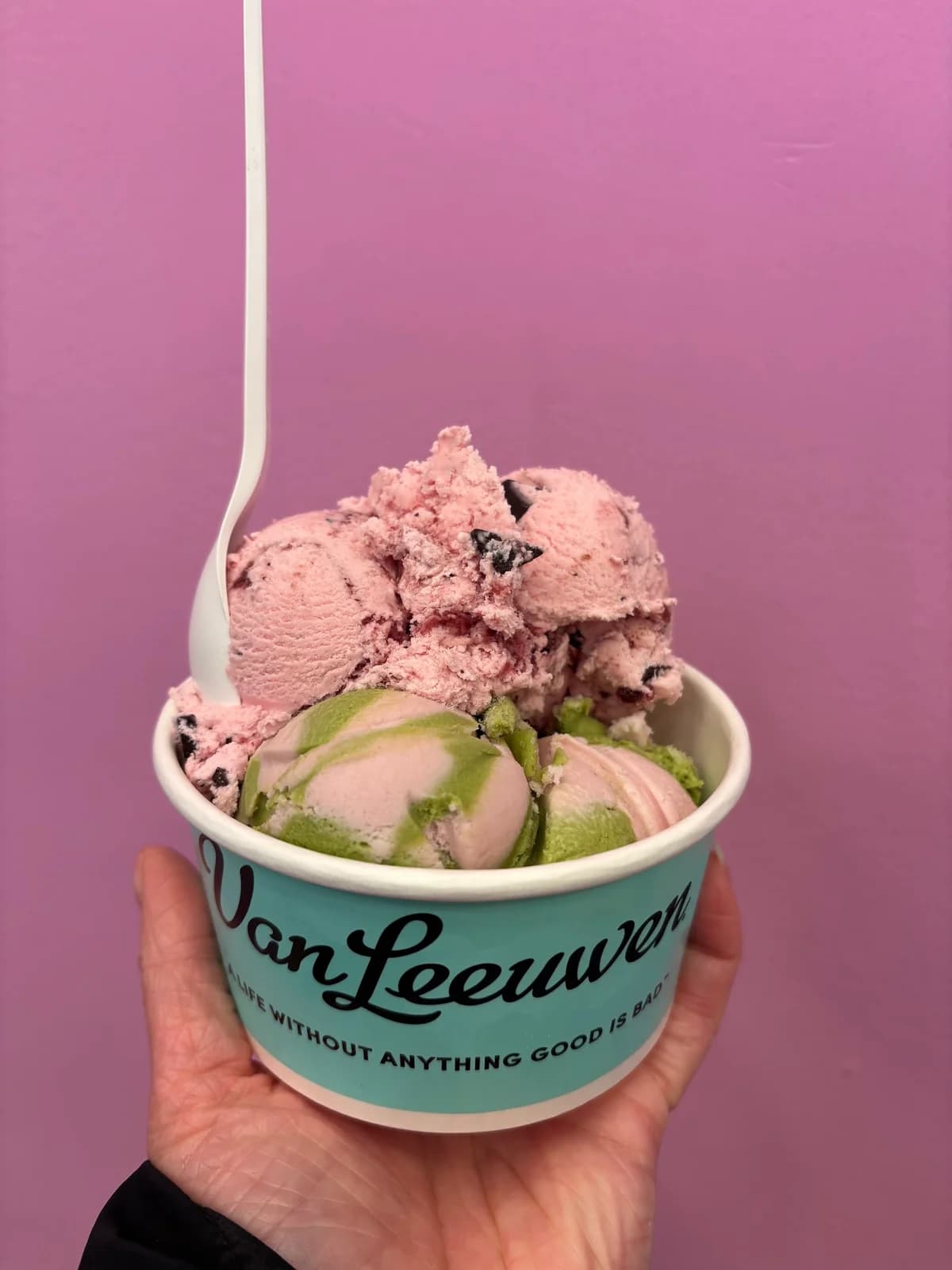 Van Leeuwen Ice Cream photo 4