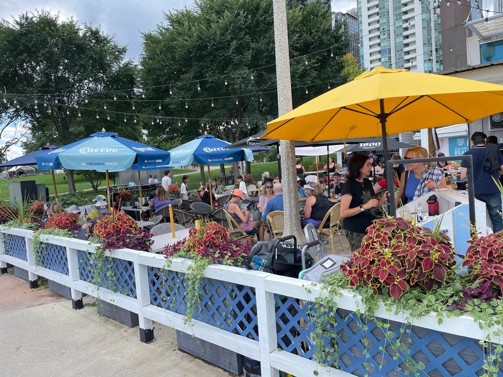 Cafe Michelle @Dusable Harbor photo 5