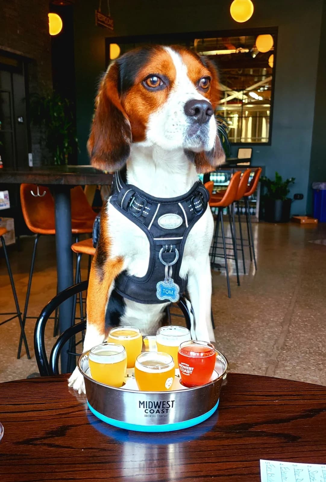 Midwest Coast Brewing photo 10