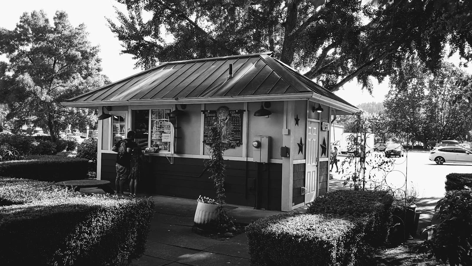 Tiger Mountain Coffee photo 3