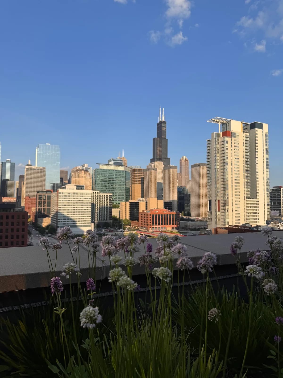 Nobu Chicago photo 6