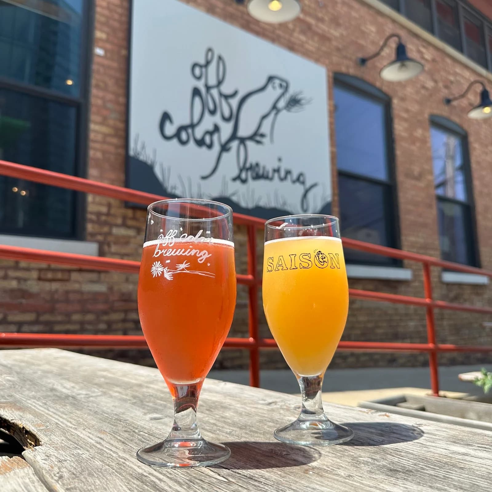 Off Color Brewing - Mousetrap photo 6