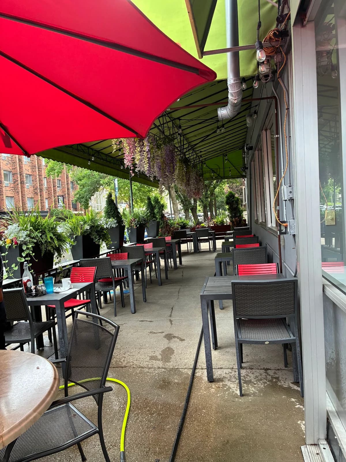 Eggsperience Cafe - Lakeview photo 4