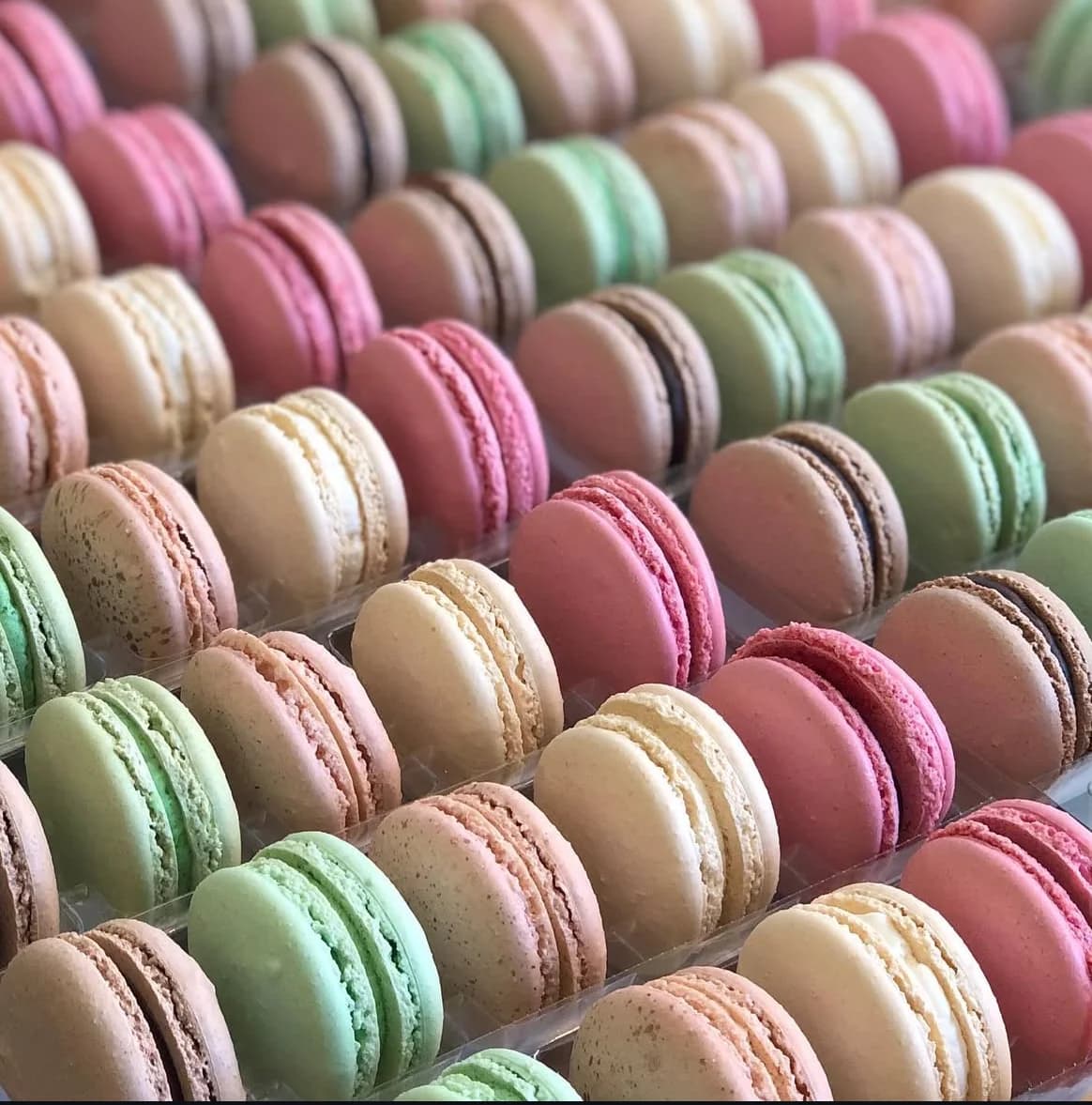 Sugar Fixé Pâtisserie photo 5