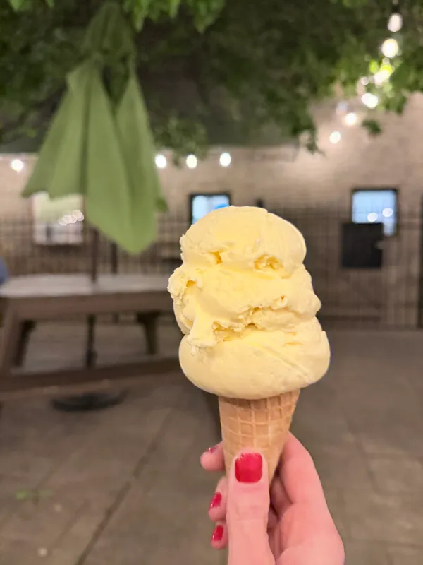 Cone Gourmet Ice Cream