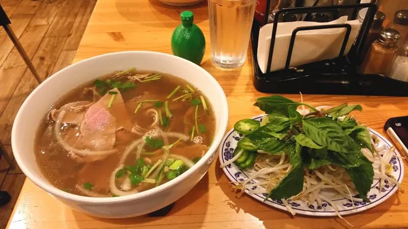 The Noodle Vietnamese & Thai Cuisine